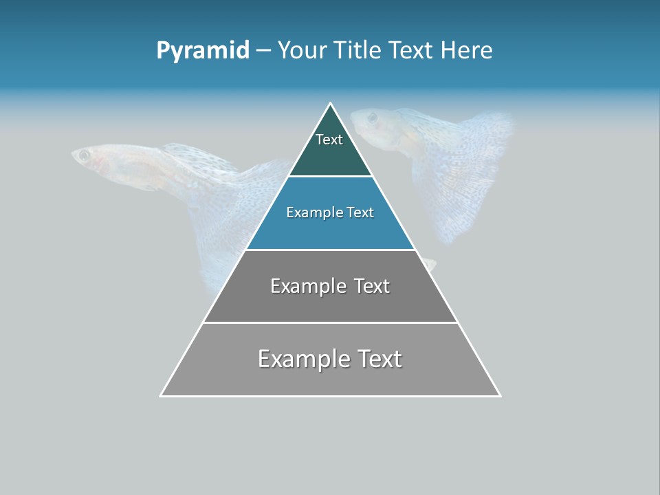 Swimming Guppy PowerPoint Template