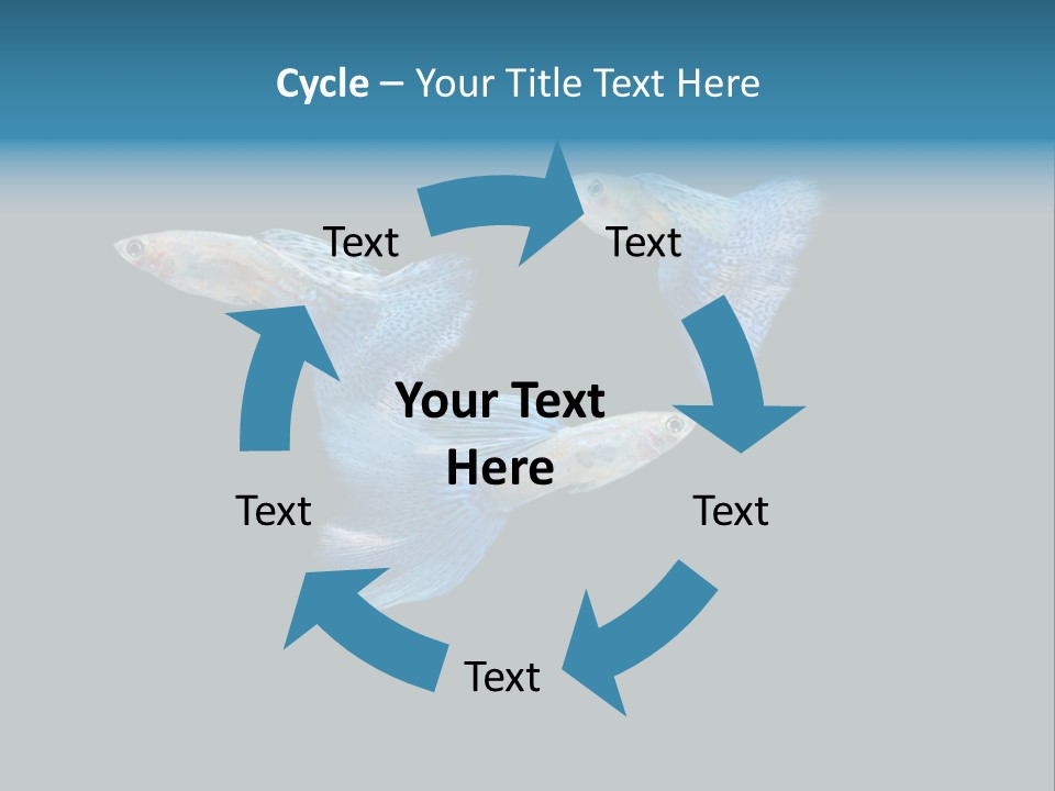 Swimming Guppy PowerPoint Template