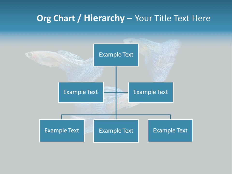 Swimming Guppy PowerPoint Template
