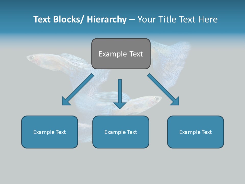 Swimming Guppy PowerPoint Template