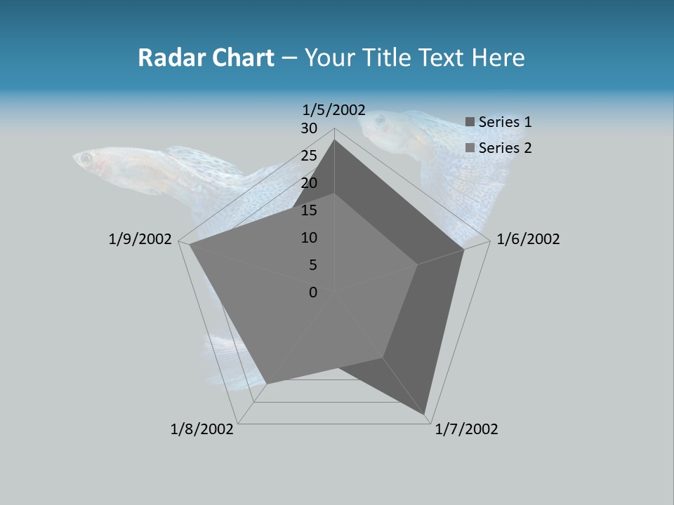 Swimming Guppy PowerPoint Template