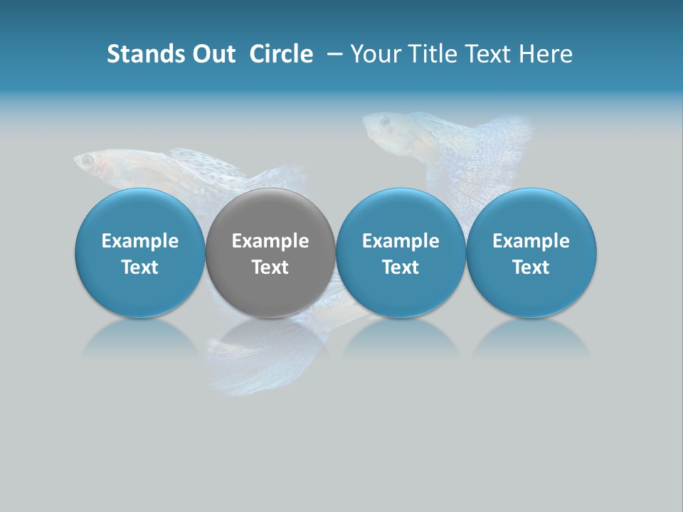 Swimming Guppy PowerPoint Template