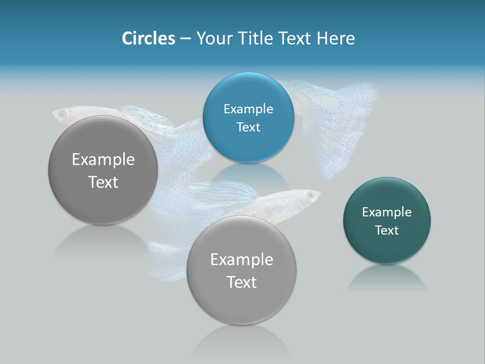 Swimming Guppy PowerPoint Template