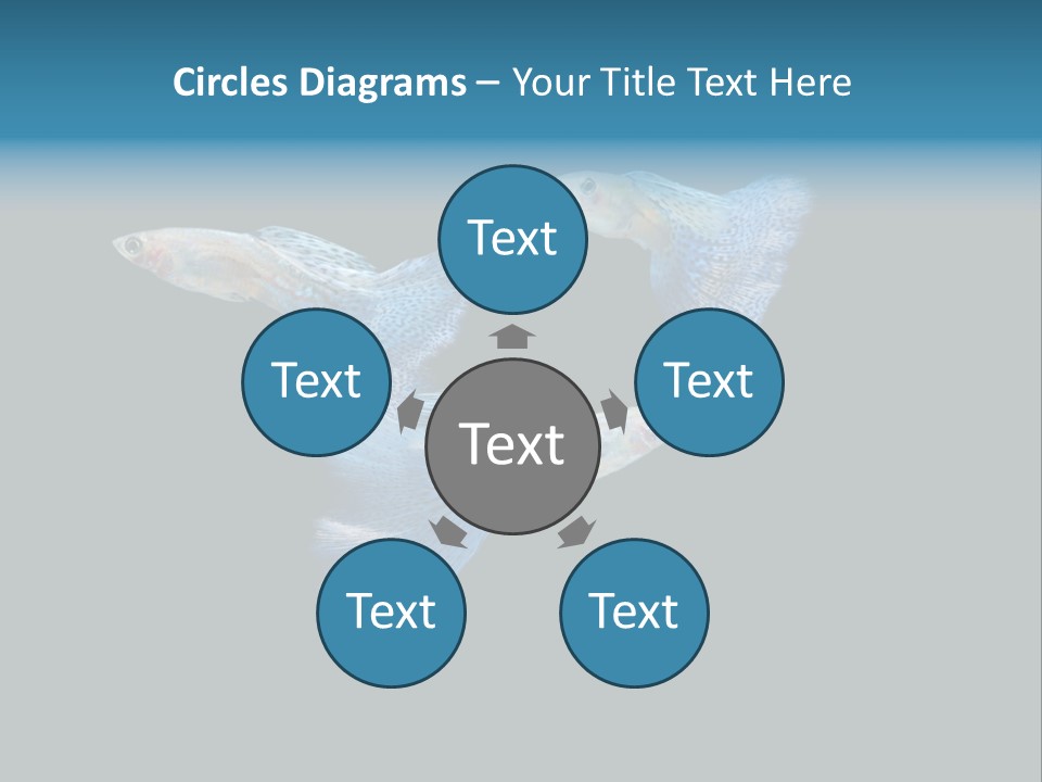 Swimming Guppy PowerPoint Template