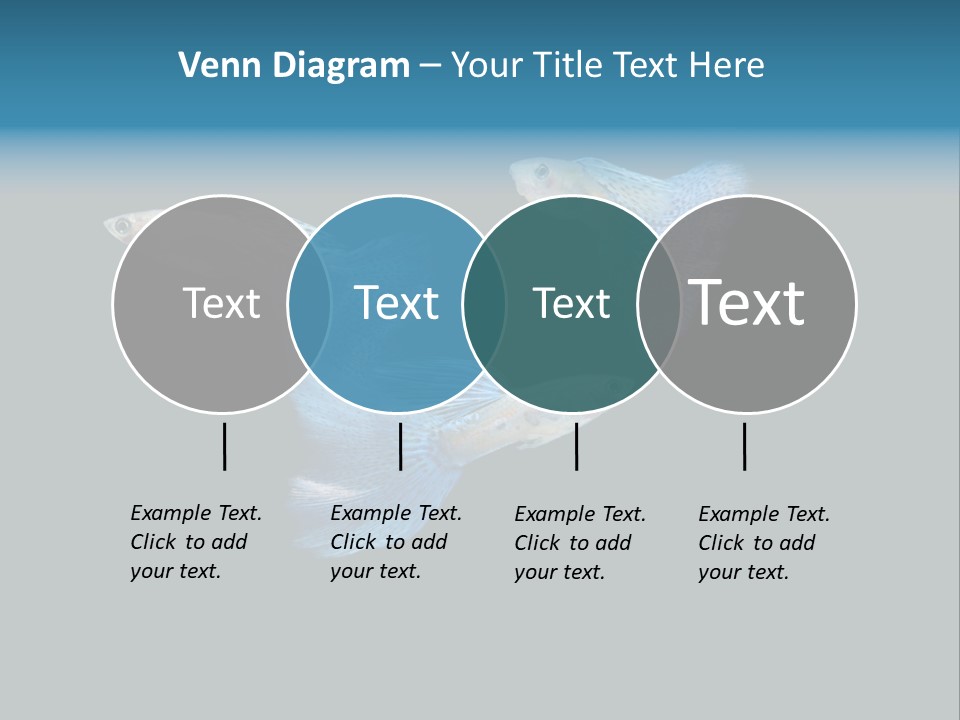 Swimming Guppy PowerPoint Template