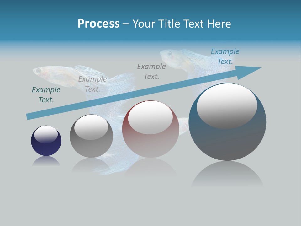 Swimming Guppy PowerPoint Template