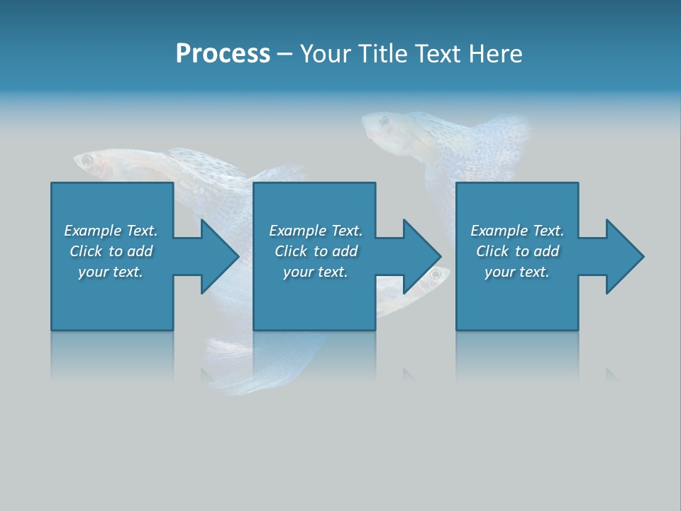 Swimming Guppy PowerPoint Template