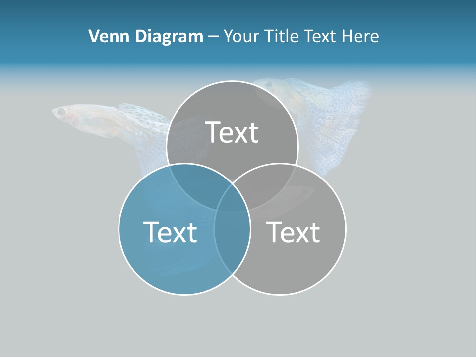 Swimming Guppy PowerPoint Template