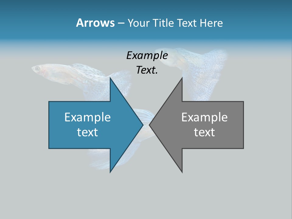 Swimming Guppy PowerPoint Template