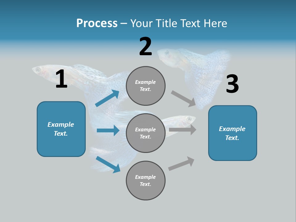 Swimming Guppy PowerPoint Template