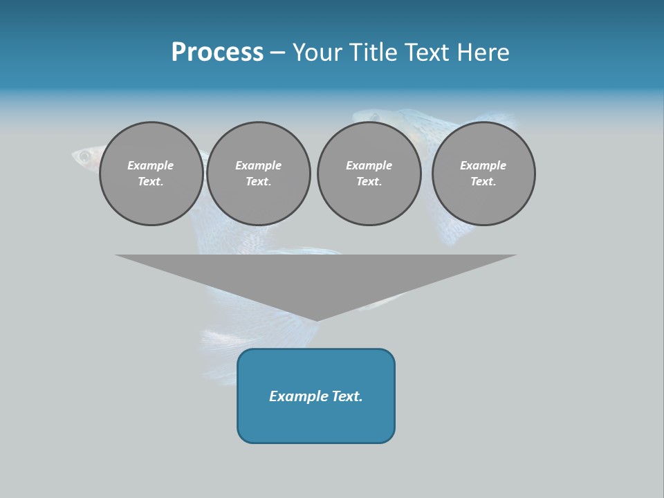 Swimming Guppy PowerPoint Template