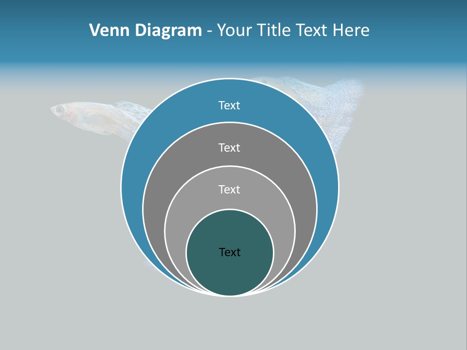 Swimming Guppy PowerPoint Template