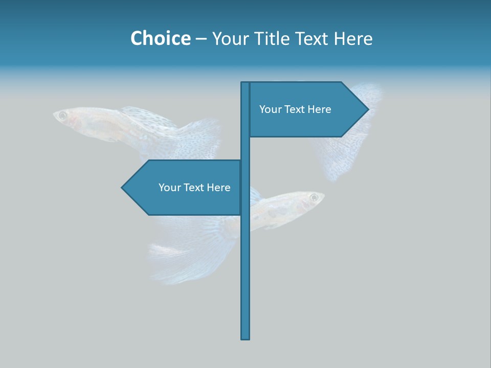 Swimming Guppy PowerPoint Template