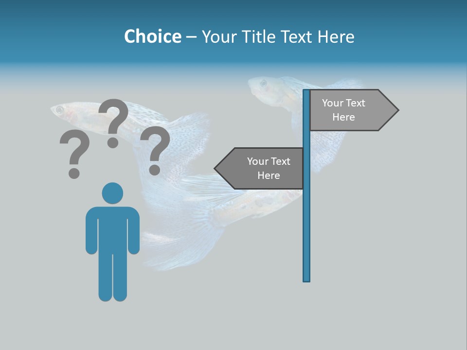 Swimming Guppy PowerPoint Template