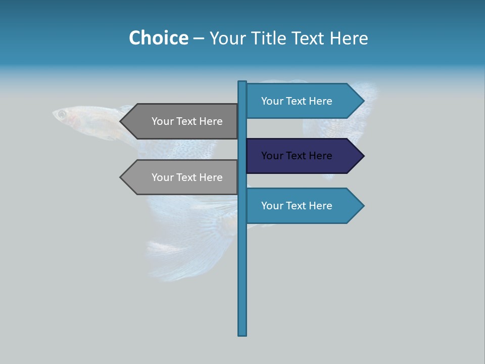 Swimming Guppy PowerPoint Template