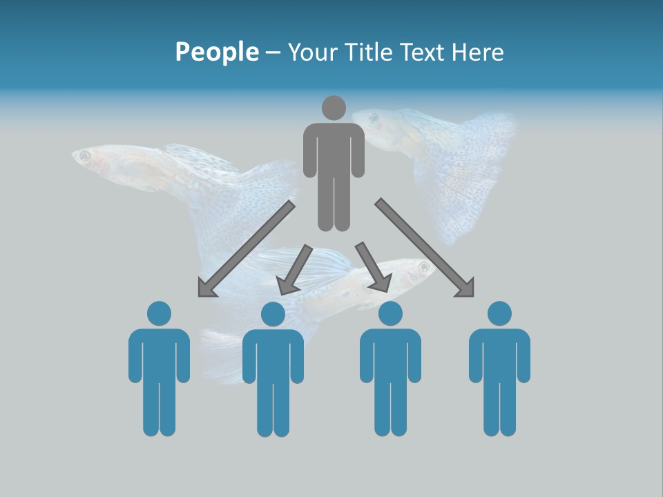 Swimming Guppy PowerPoint Template