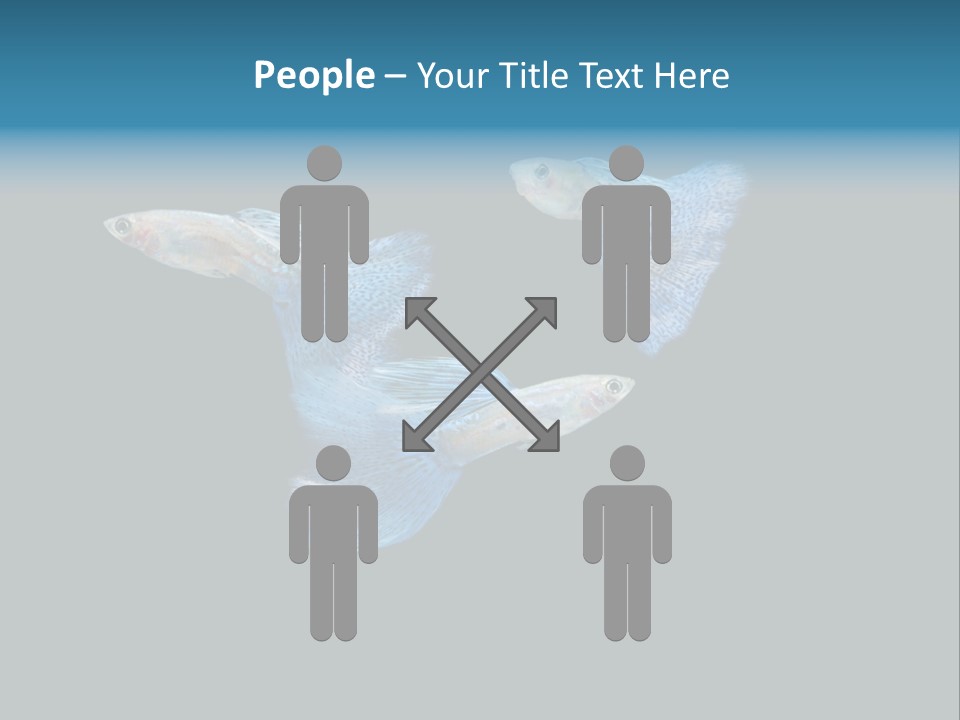 Swimming Guppy PowerPoint Template