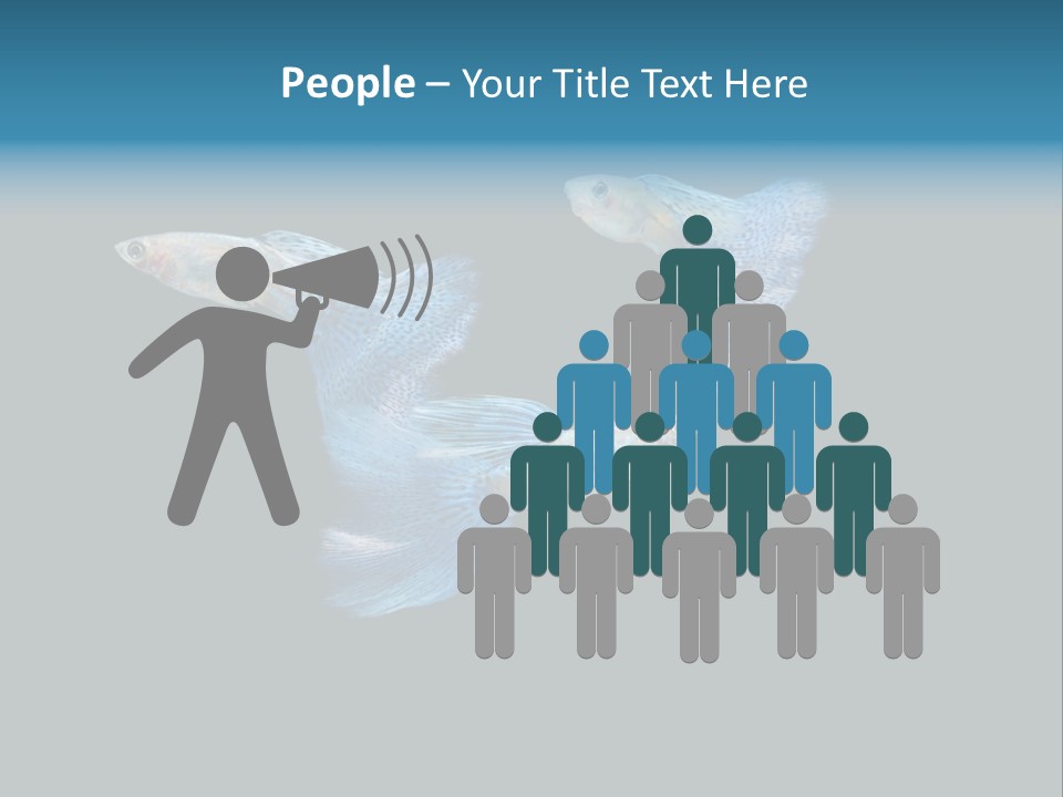 Swimming Guppy PowerPoint Template