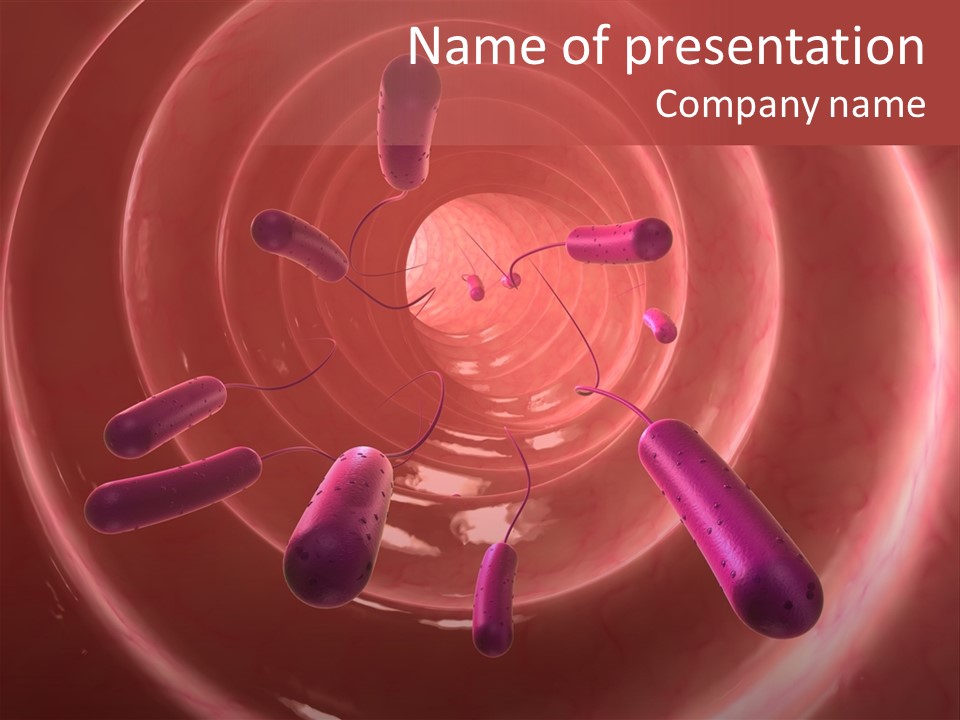 E. Coli Bacteria PowerPoint Template