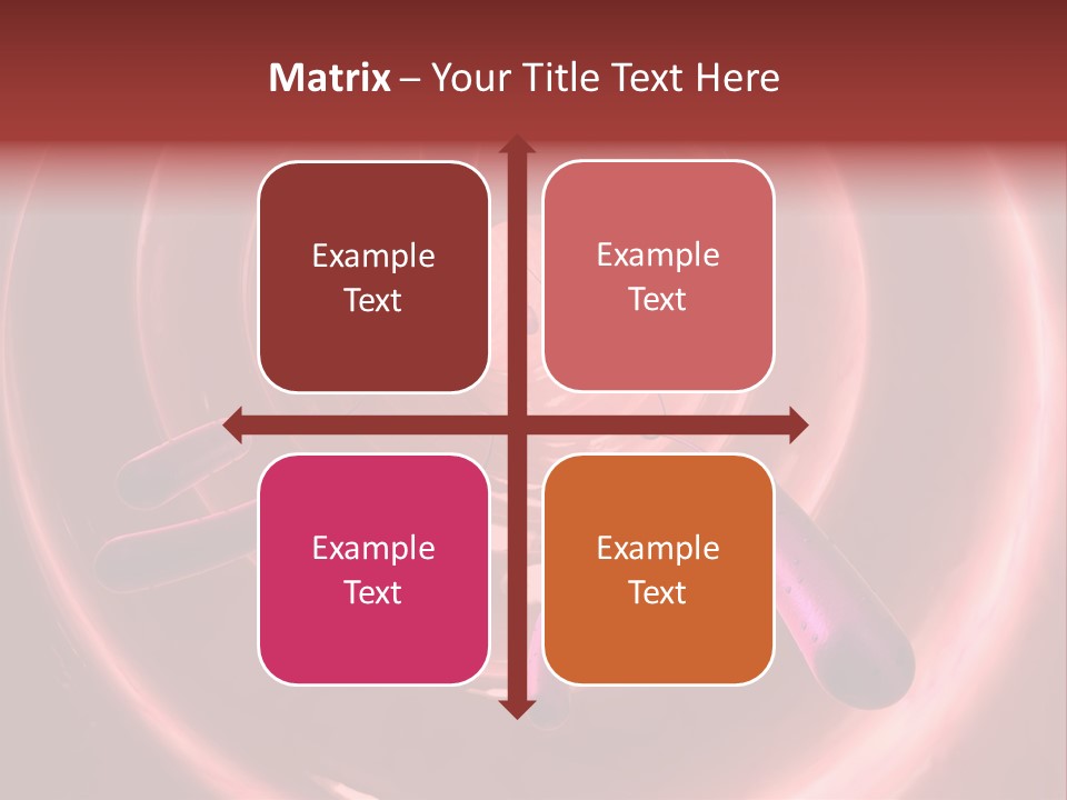 E. Coli Bacteria PowerPoint Template