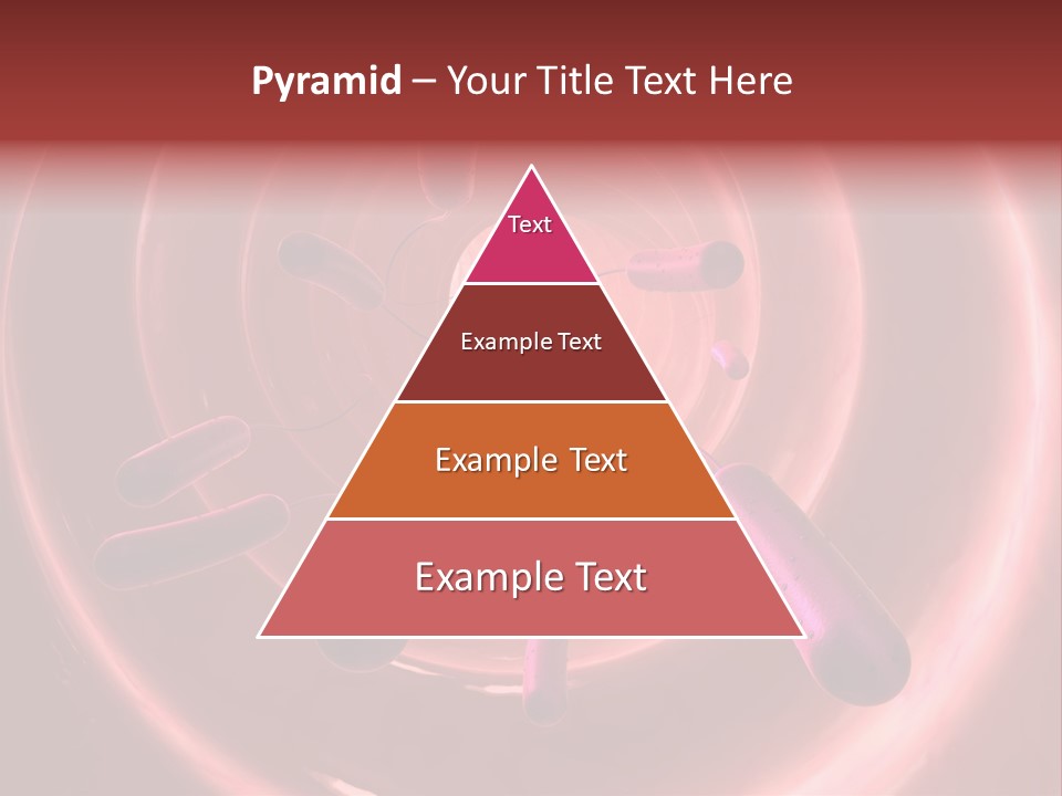 E. Coli Bacteria PowerPoint Template