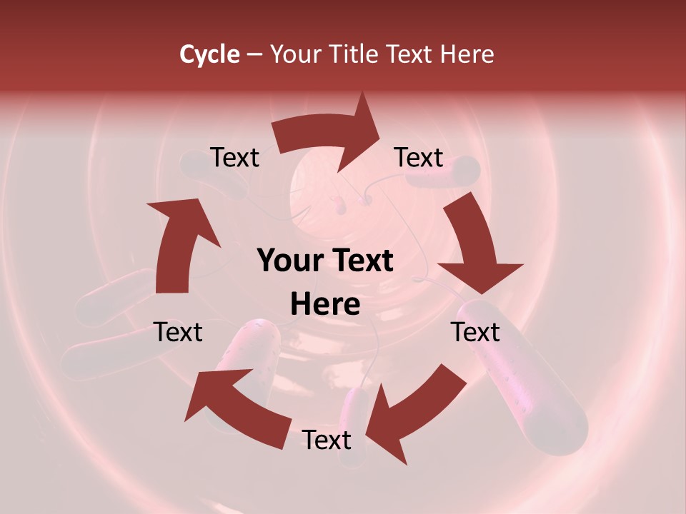 E. Coli Bacteria PowerPoint Template