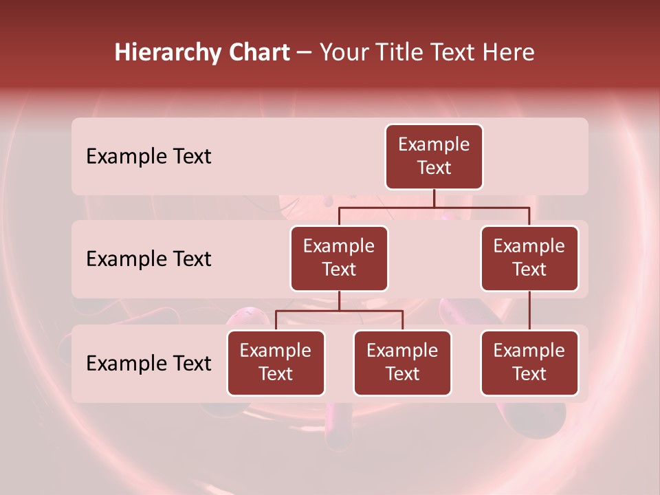 E. Coli Bacteria PowerPoint Template