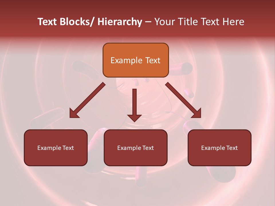 E. Coli Bacteria PowerPoint Template