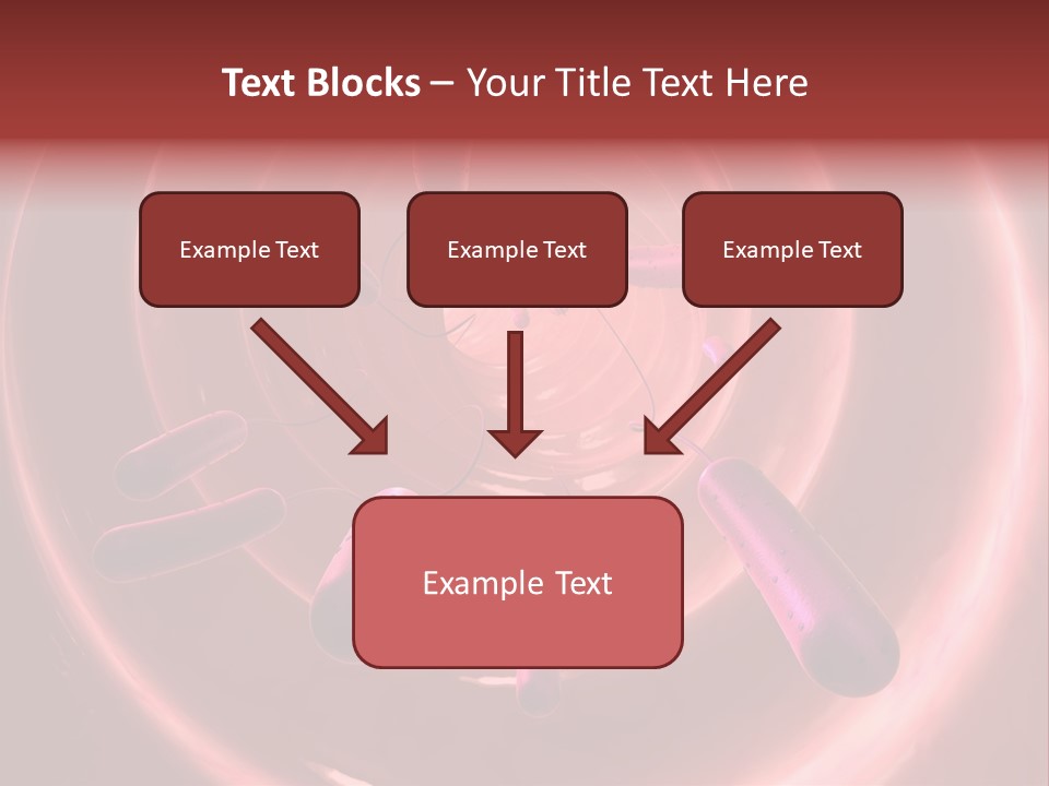 E. Coli Bacteria PowerPoint Template