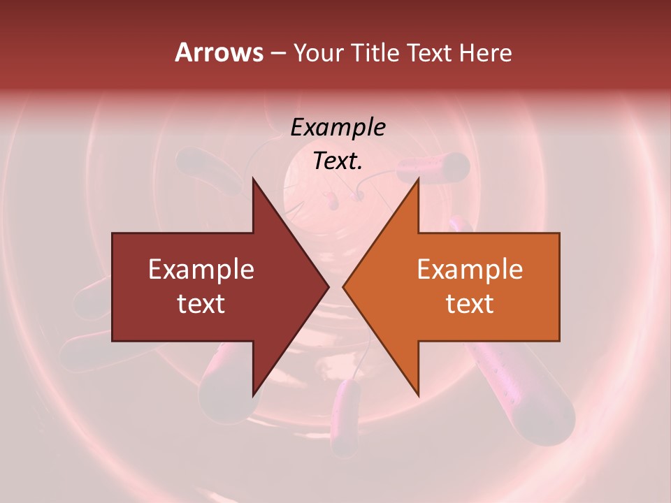 E. Coli Bacteria PowerPoint Template
