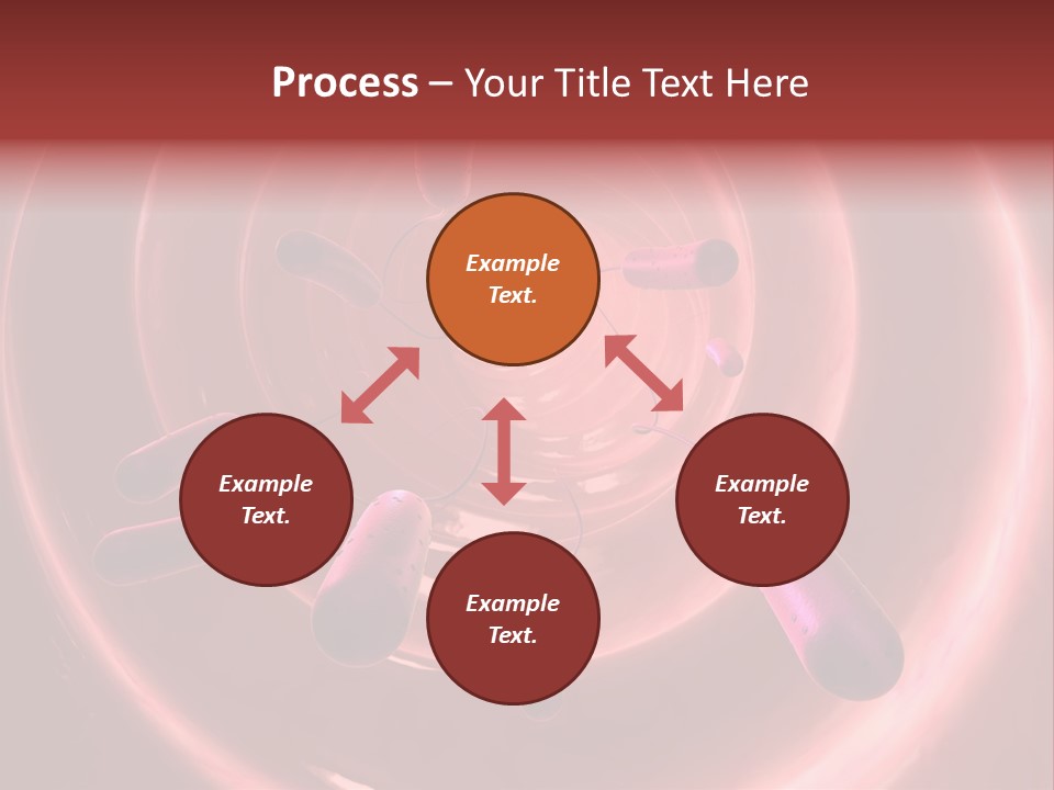 E. Coli Bacteria PowerPoint Template