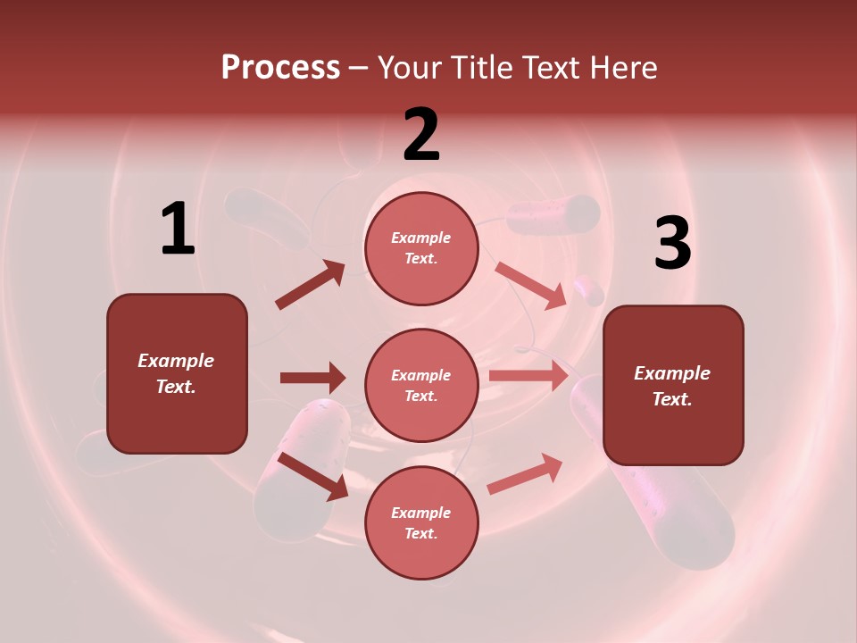 E. Coli Bacteria PowerPoint Template