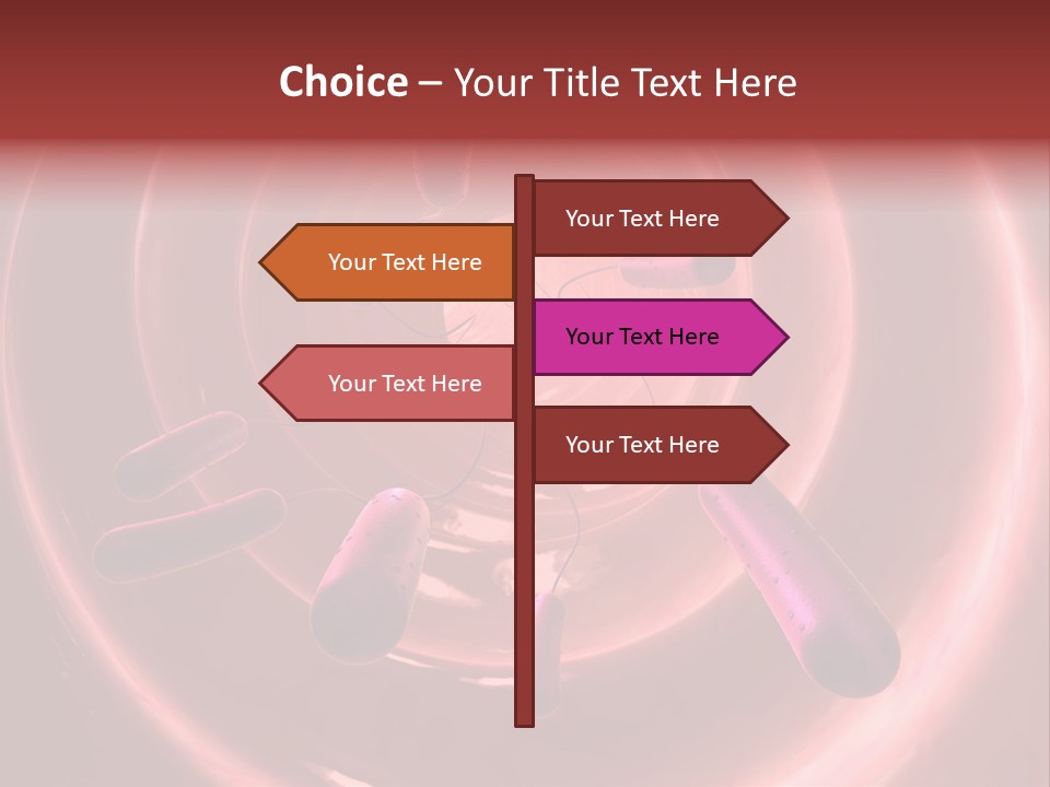 E. Coli Bacteria PowerPoint Template