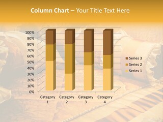 Beautiful Orange Pillows On The Beds Of Modern PowerPoint Template