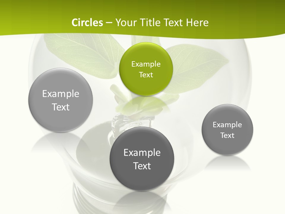 Light Bulb: Power And Nature PowerPoint Template