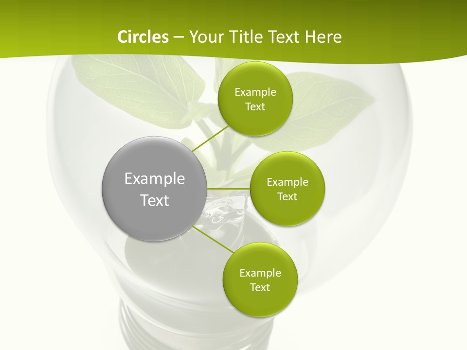 Light Bulb: Power And Nature PowerPoint Template