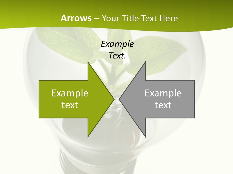 Light Bulb: Power And Nature PowerPoint Template