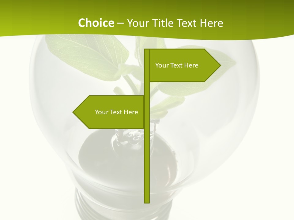 Light Bulb: Power And Nature PowerPoint Template