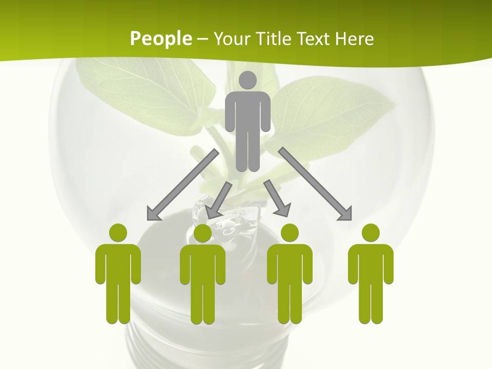 Light Bulb: Power And Nature PowerPoint Template