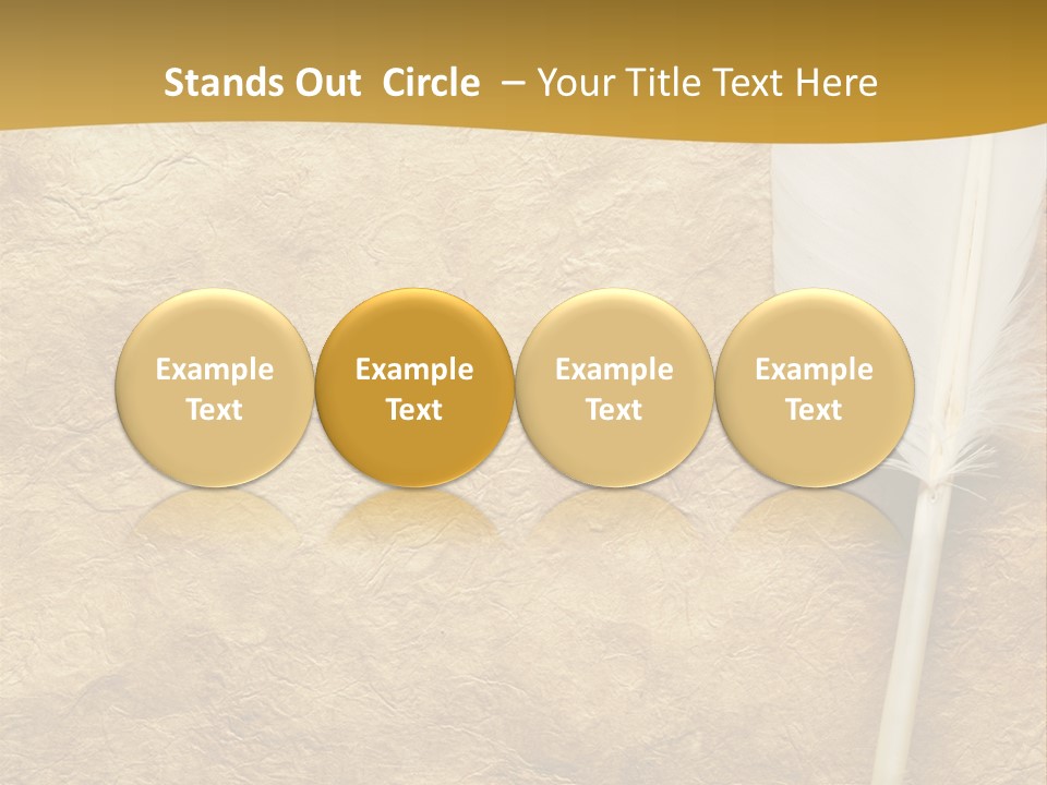 Feather On A Background Of The Empty Form For The Letter PowerPoint Template