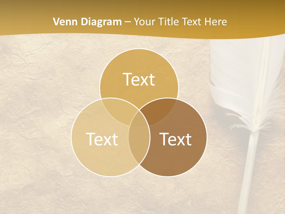 Feather On A Background Of The Empty Form For The Letter PowerPoint Template