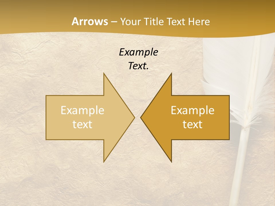 Feather On A Background Of The Empty Form For The Letter PowerPoint Template