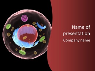 Cell Structure PowerPoint Template