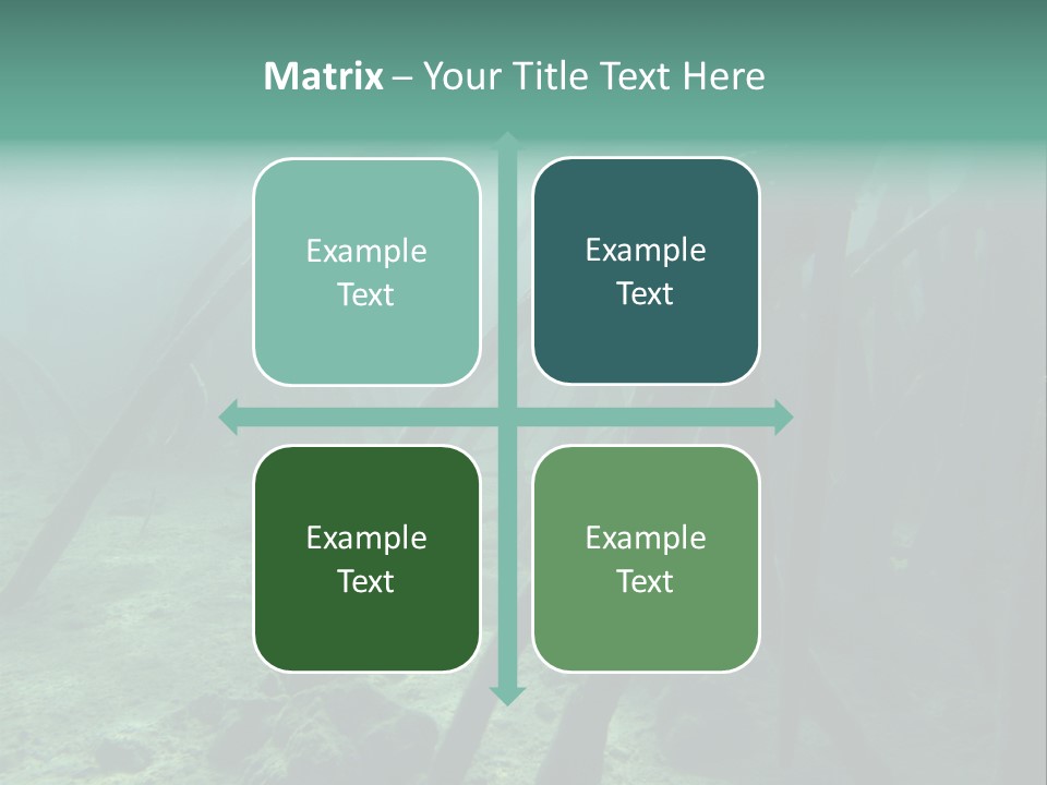 Brown Jersey Cow (10 Years Old) In Front Of A White Background PowerPoint Template