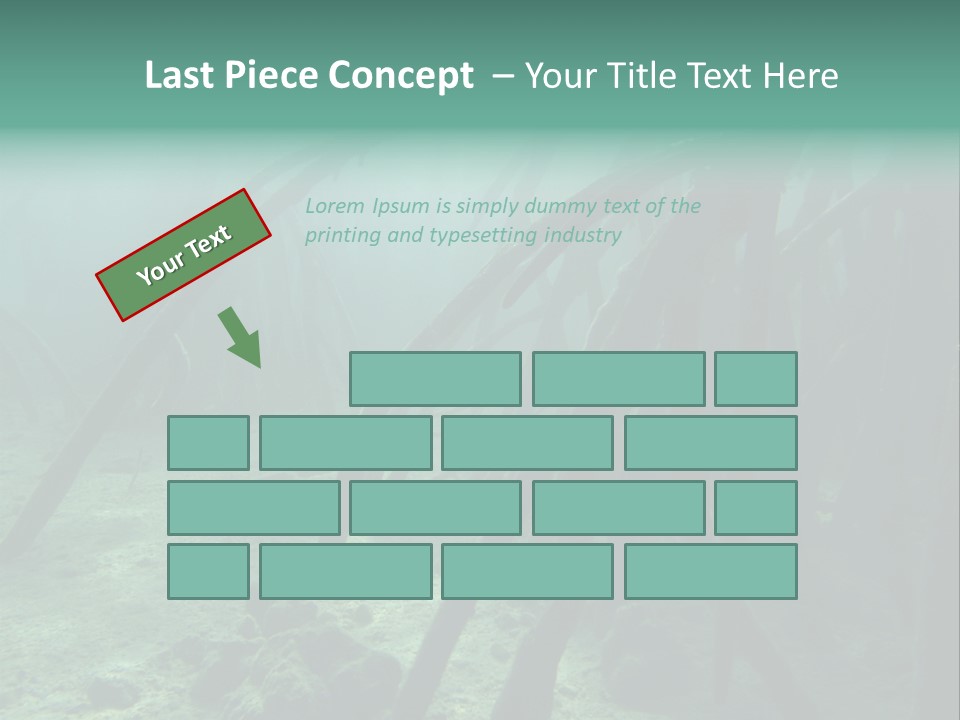 Brown Jersey Cow (10 Years Old) In Front Of A White Background PowerPoint Template