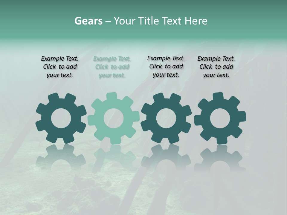 Brown Jersey Cow (10 Years Old) In Front Of A White Background PowerPoint Template