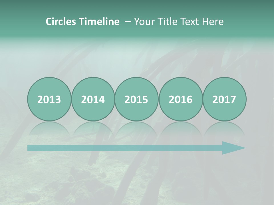 Brown Jersey Cow (10 Years Old) In Front Of A White Background PowerPoint Template