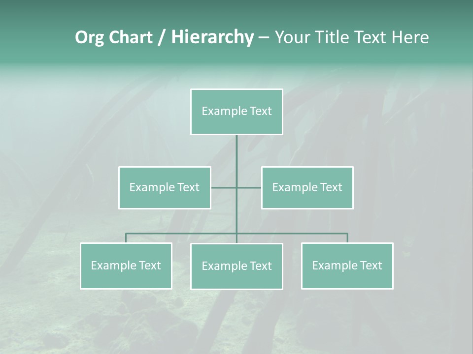 Brown Jersey Cow (10 Years Old) In Front Of A White Background PowerPoint Template