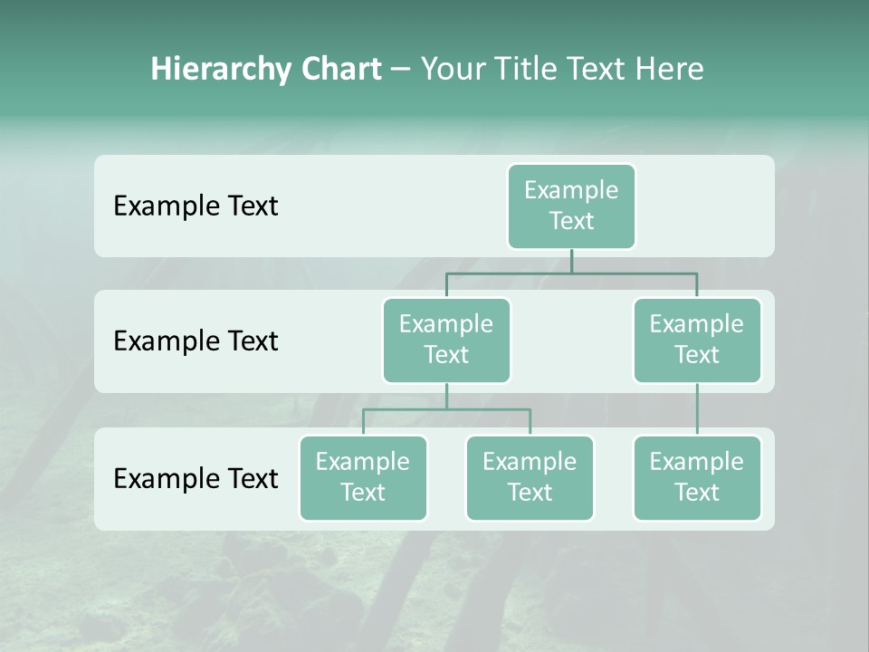 Brown Jersey Cow (10 Years Old) In Front Of A White Background PowerPoint Template