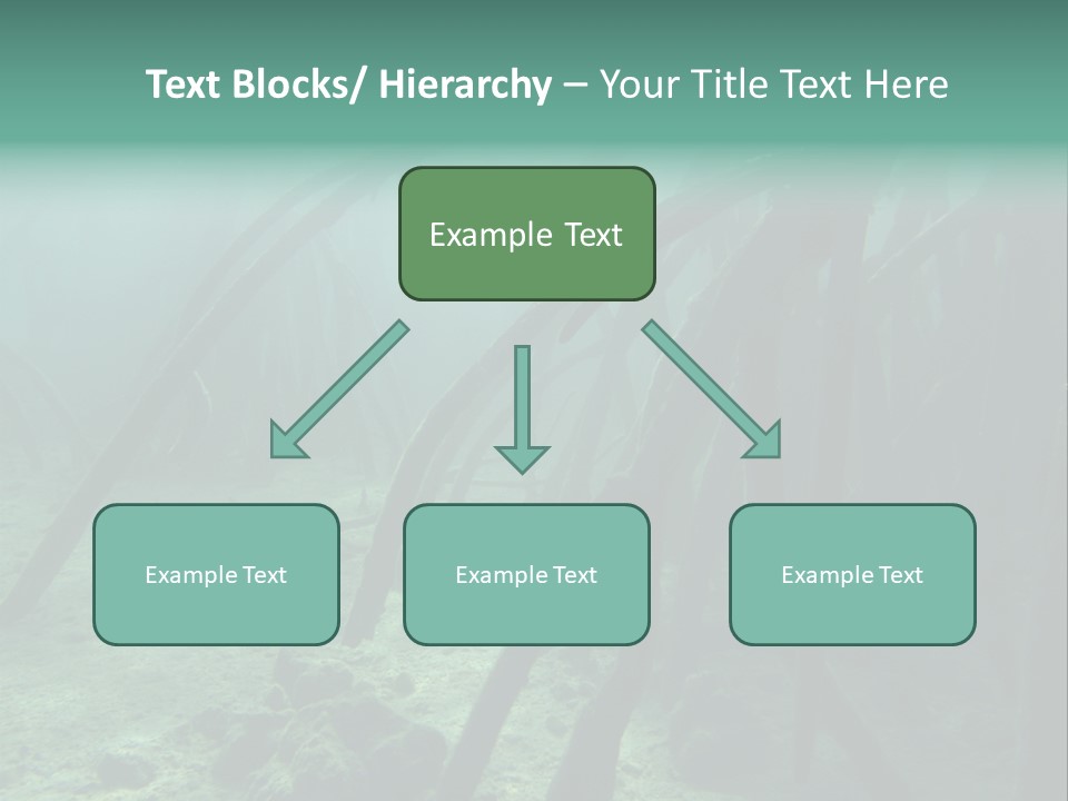Brown Jersey Cow (10 Years Old) In Front Of A White Background PowerPoint Template
